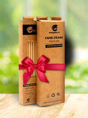 hop-2-ong-hut-giay-easygreen
