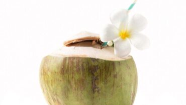 Ống hút giấy uống dừa trái